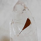 ヒマラヤ水晶バイオタイト